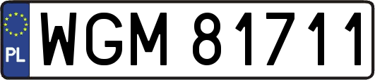 WGM81711