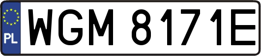 WGM8171E