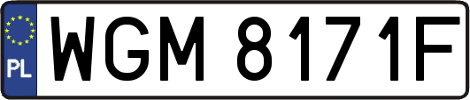 WGM8171F