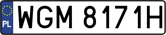 WGM8171H