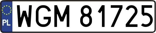 WGM81725
