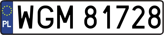 WGM81728