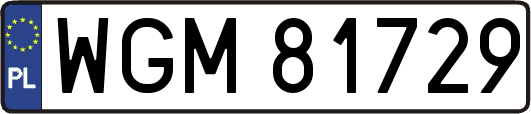 WGM81729