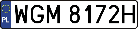 WGM8172H