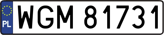 WGM81731