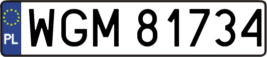 WGM81734