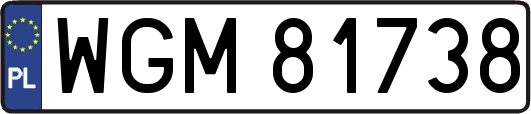 WGM81738