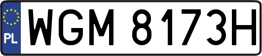 WGM8173H