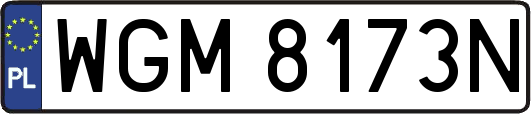 WGM8173N