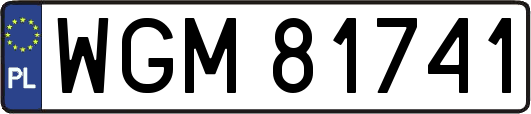 WGM81741