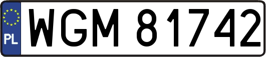 WGM81742