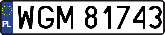 WGM81743