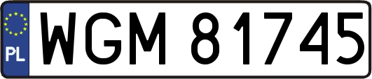 WGM81745