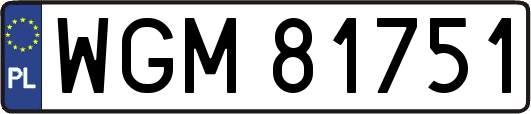 WGM81751