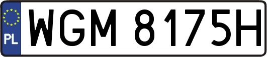WGM8175H