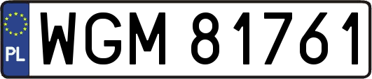 WGM81761