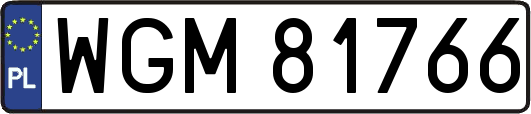 WGM81766