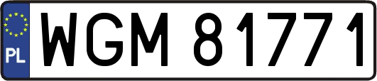 WGM81771