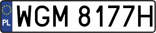 WGM8177H