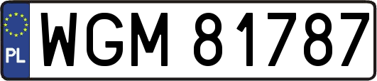WGM81787