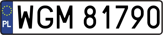 WGM81790