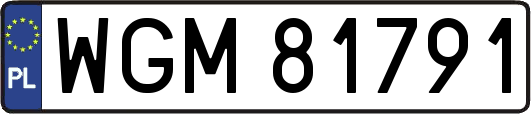 WGM81791