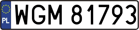 WGM81793
