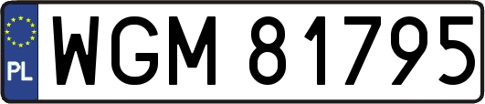 WGM81795