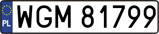 WGM81799