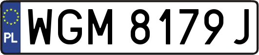 WGM8179J