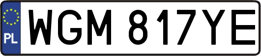 WGM817YE