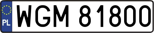 WGM81800