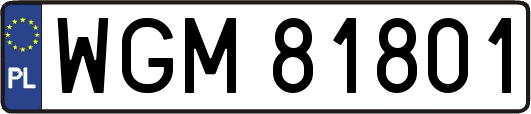 WGM81801