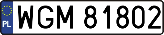 WGM81802