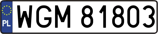 WGM81803
