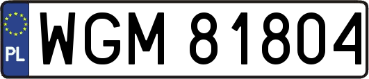 WGM81804
