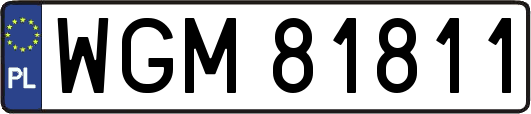 WGM81811