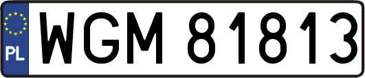 WGM81813
