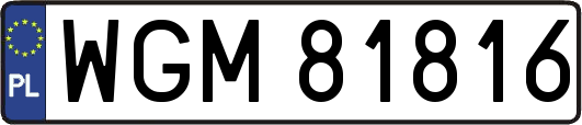 WGM81816