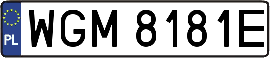 WGM8181E