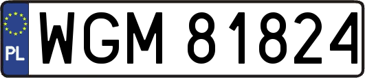 WGM81824