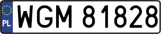 WGM81828