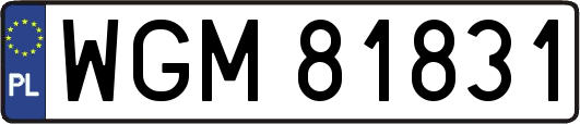 WGM81831