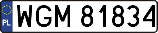 WGM81834