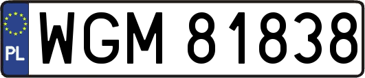 WGM81838