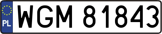 WGM81843