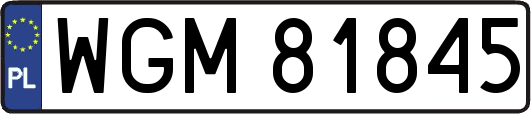 WGM81845