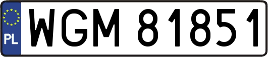 WGM81851