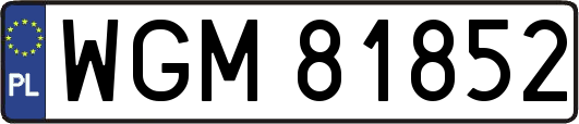WGM81852