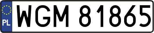 WGM81865